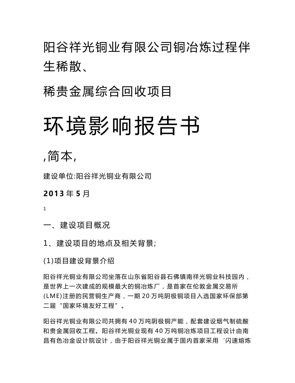 铜冶炼过程伴生稀散、稀贵金属综合回收项目环境影响评价报告书.doc_第1页