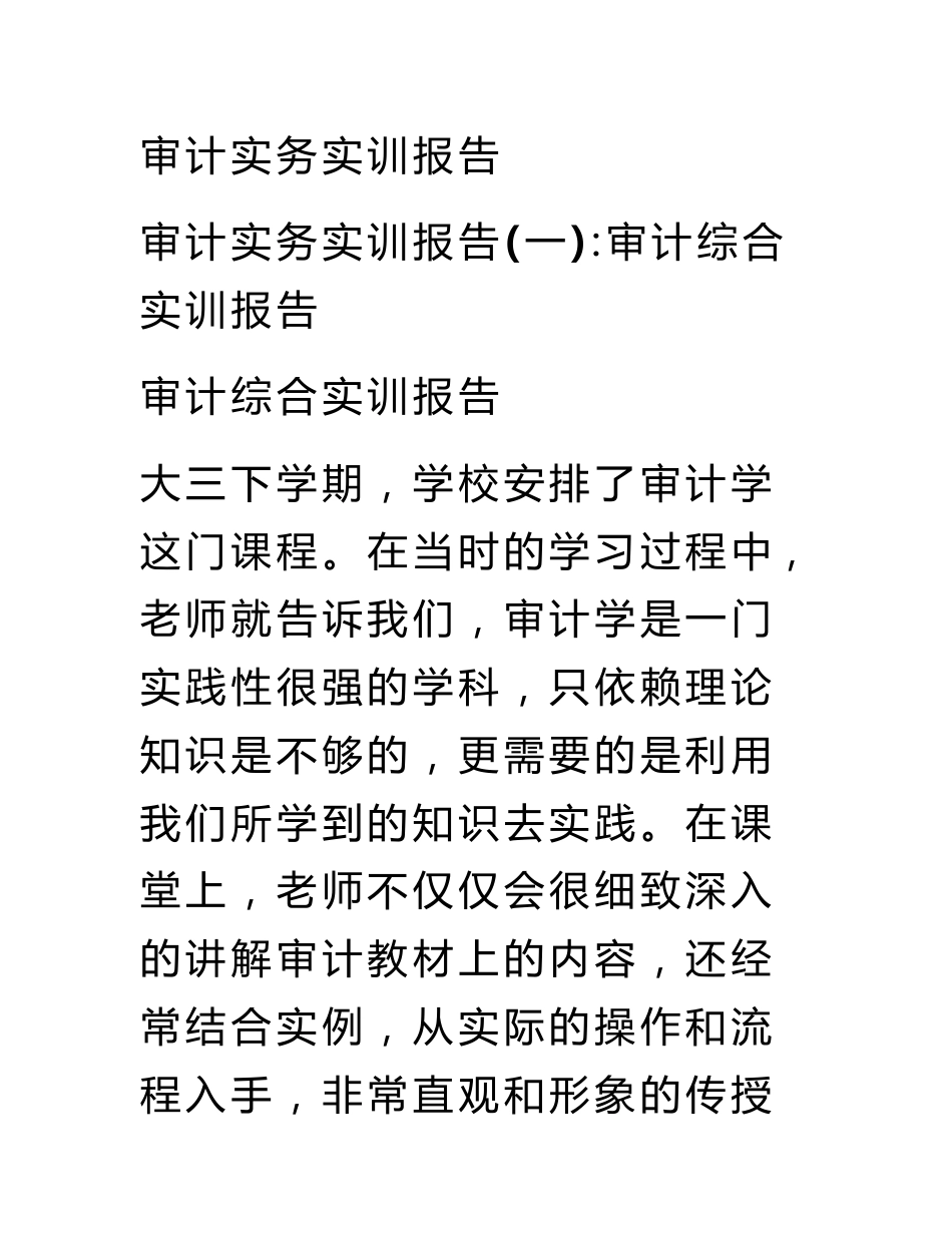 审计实务实训报告_第1页