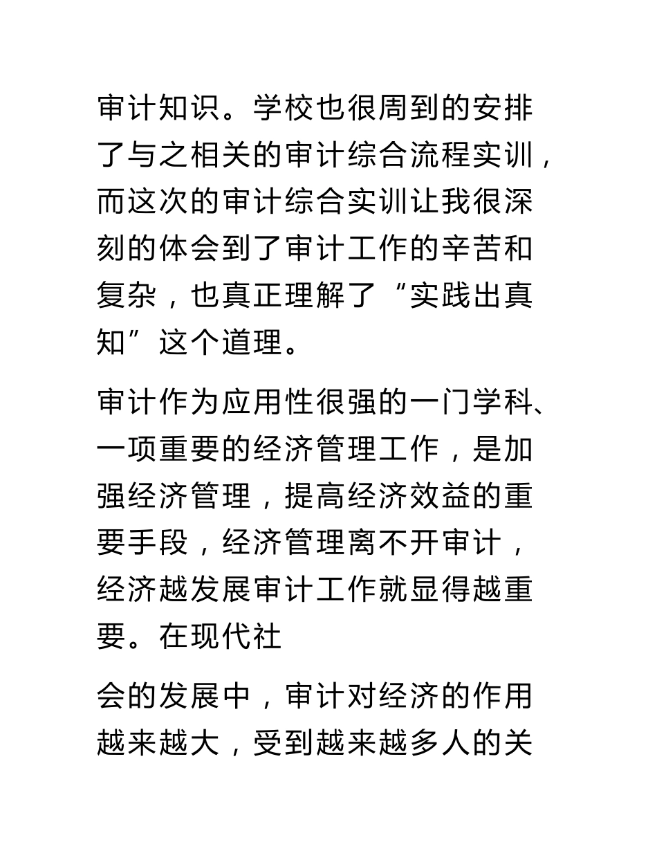 审计实务实训报告_第2页