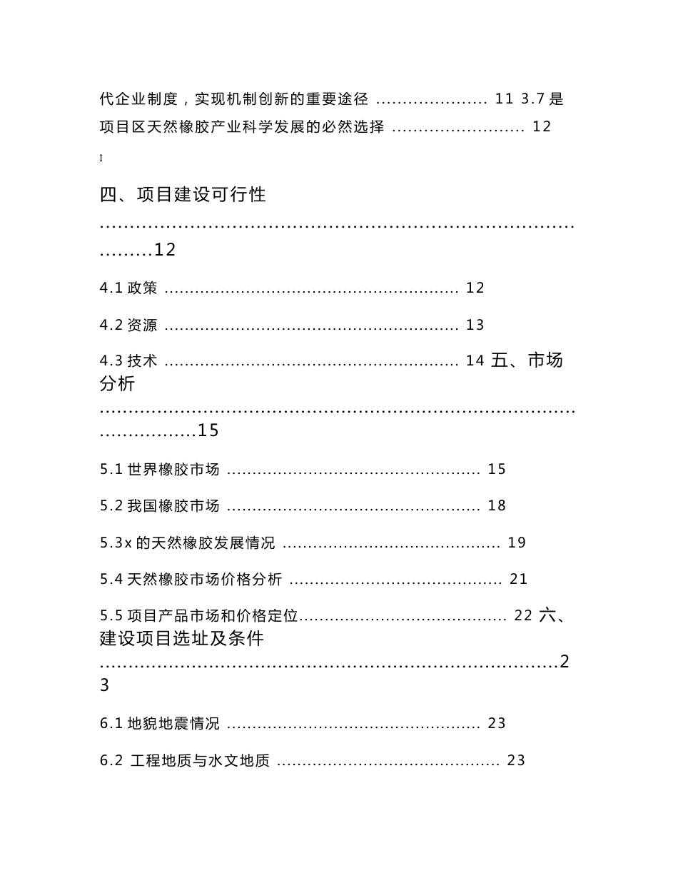 橡胶行业可行性研究报告_第2页