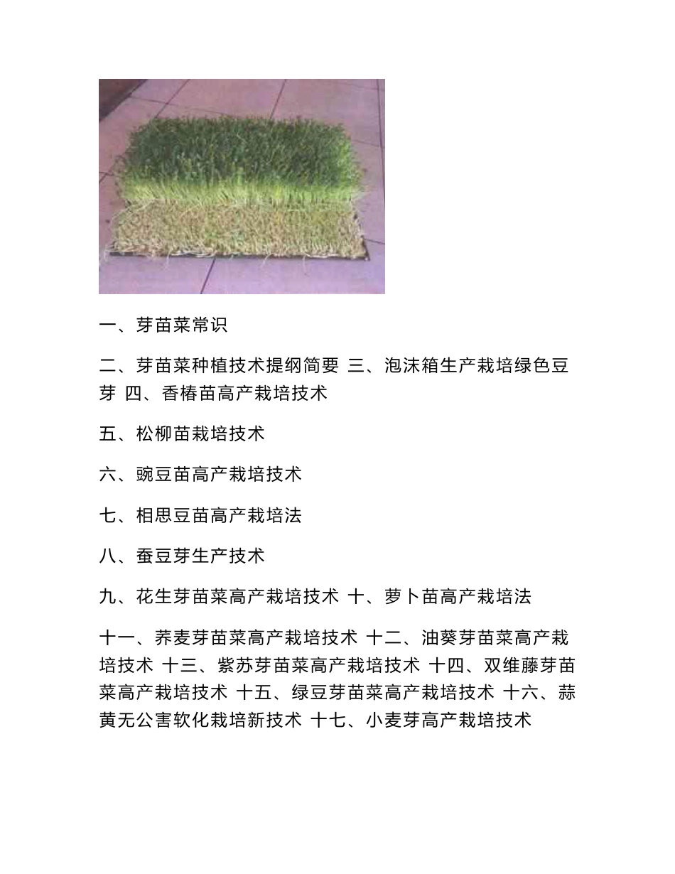 芽苗菜种植培训教材（目前涉及品种最全的资料）_第1页