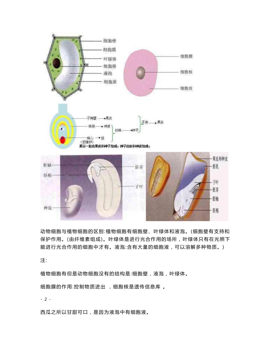 浙教版-初中生物知识点总复习-中考专用--超全_第3页