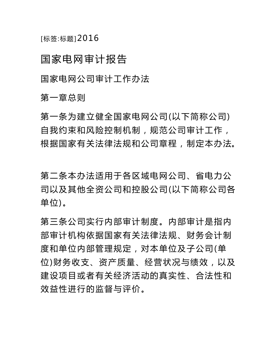 国家电网审计报告_第1页