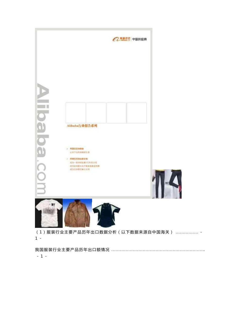 服装行业分析报告_第1页