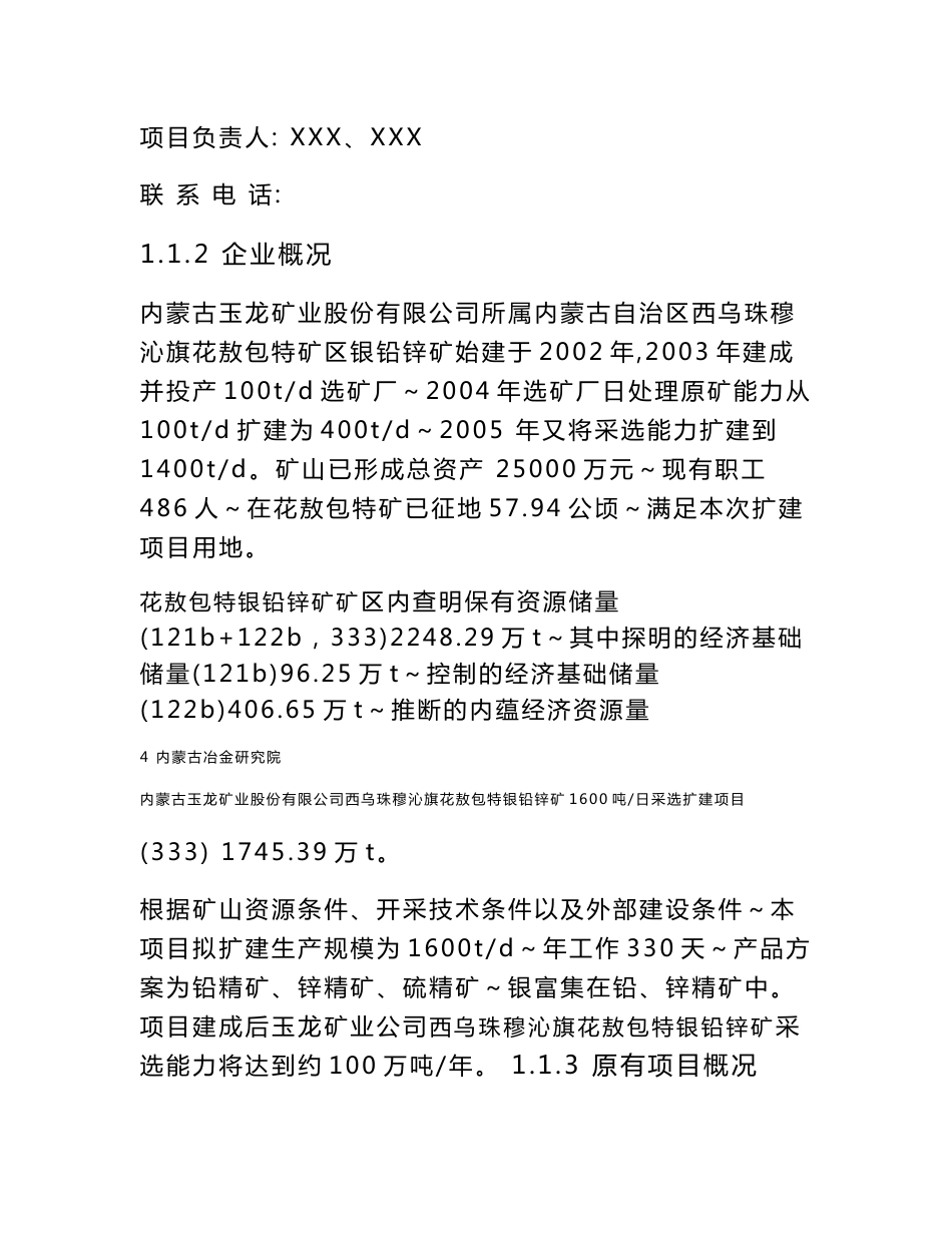 [调查报告]银铅锌矿1600吨日采选扩建项目节能评估报告_第3页