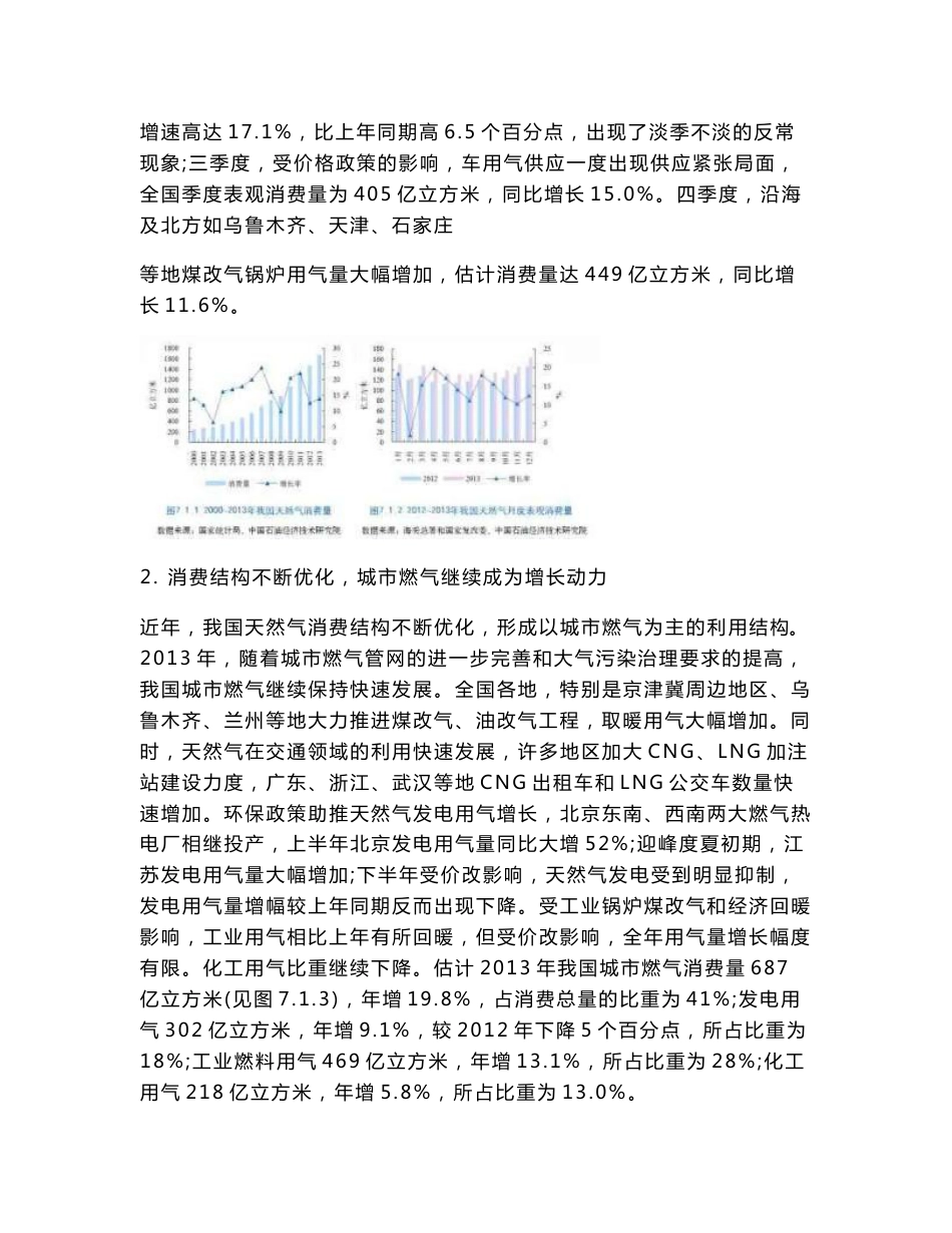 2013年中国天然气市场分析报告_第2页