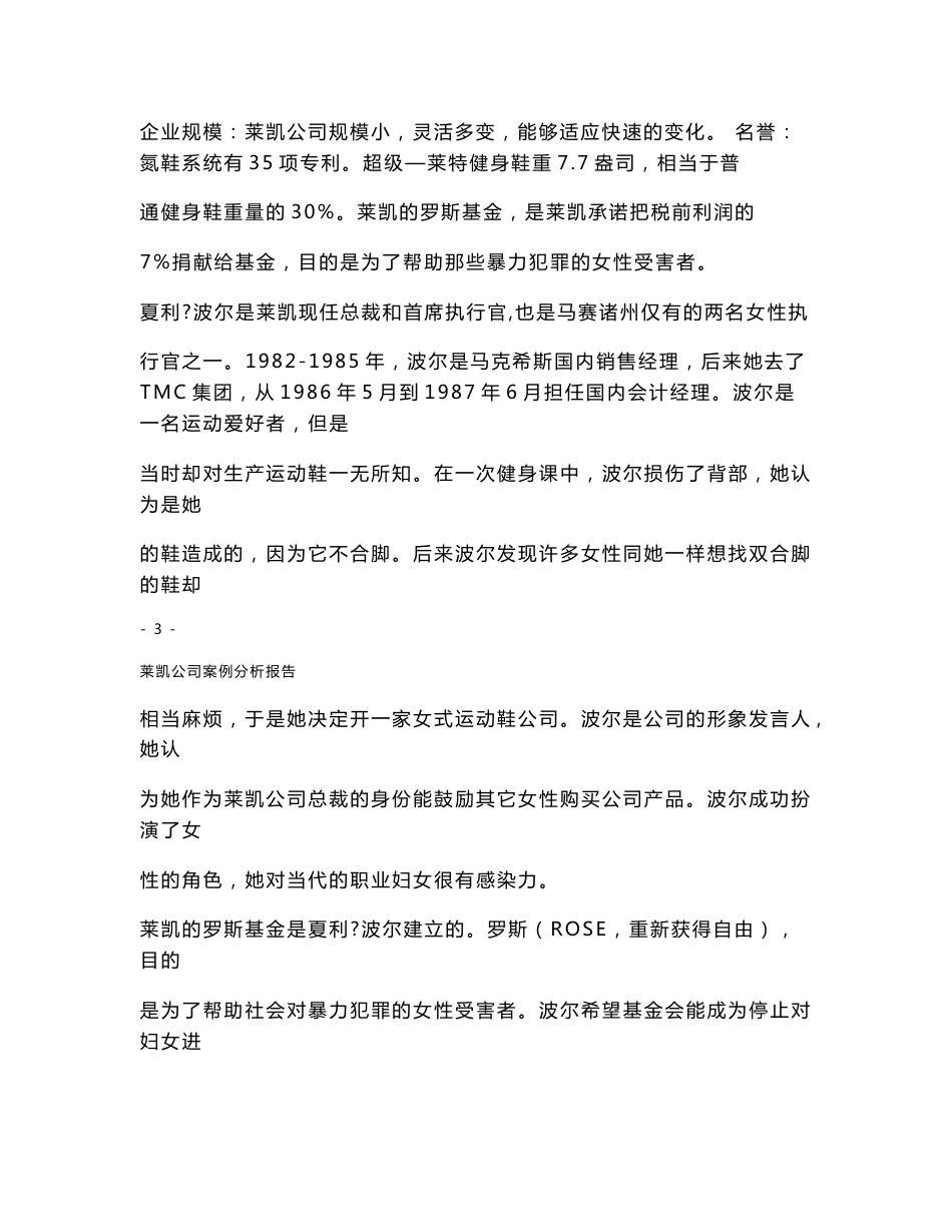 莱凯公司案例分析报告_第3页