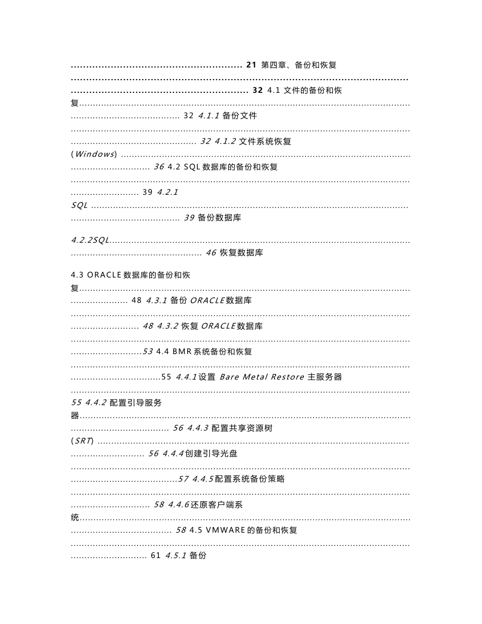 XXXX NBU实施方案_第2页