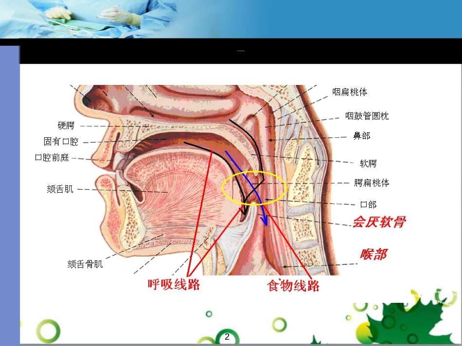 口咽通气道的使用[共26页]_第2页