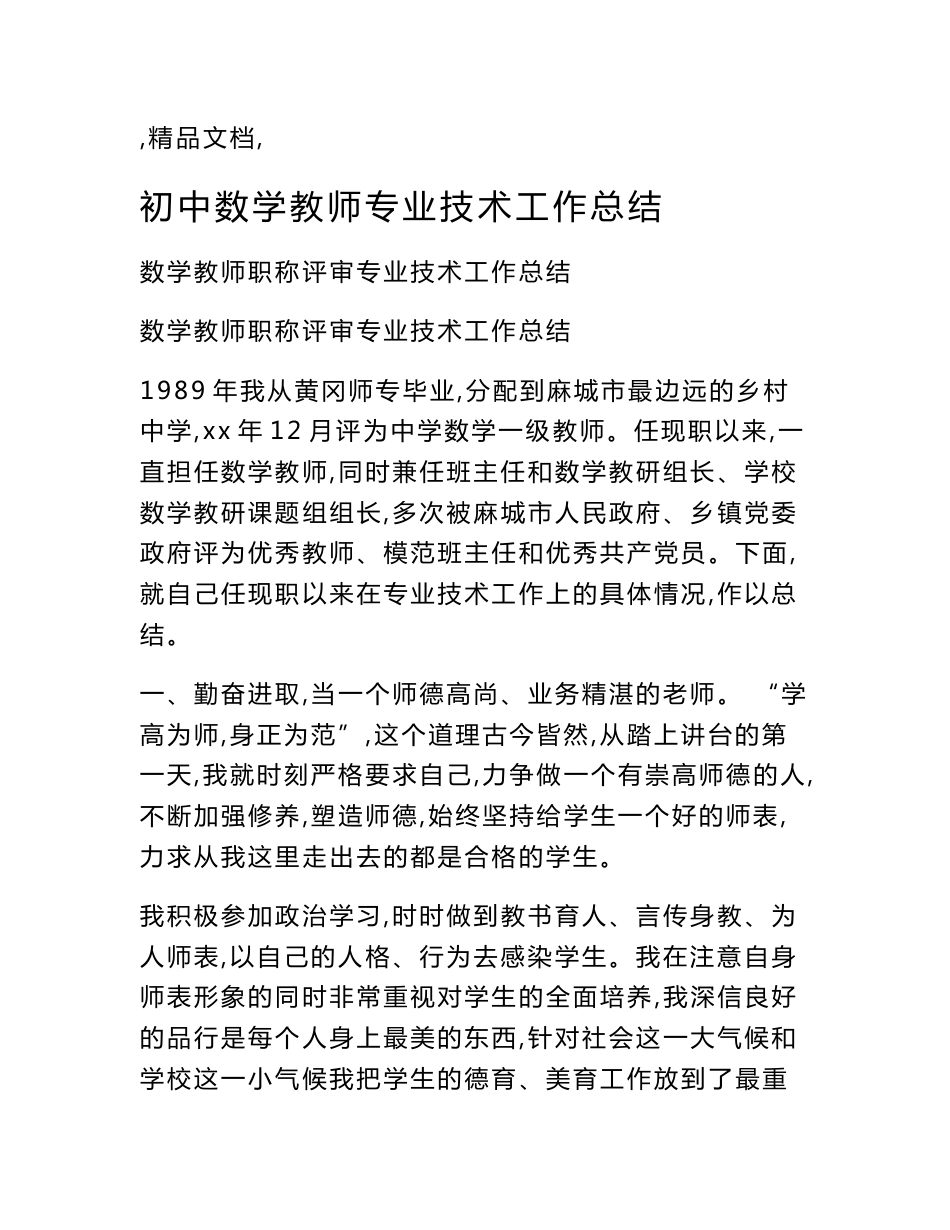 初中数学教师专业技术工作总结_第1页