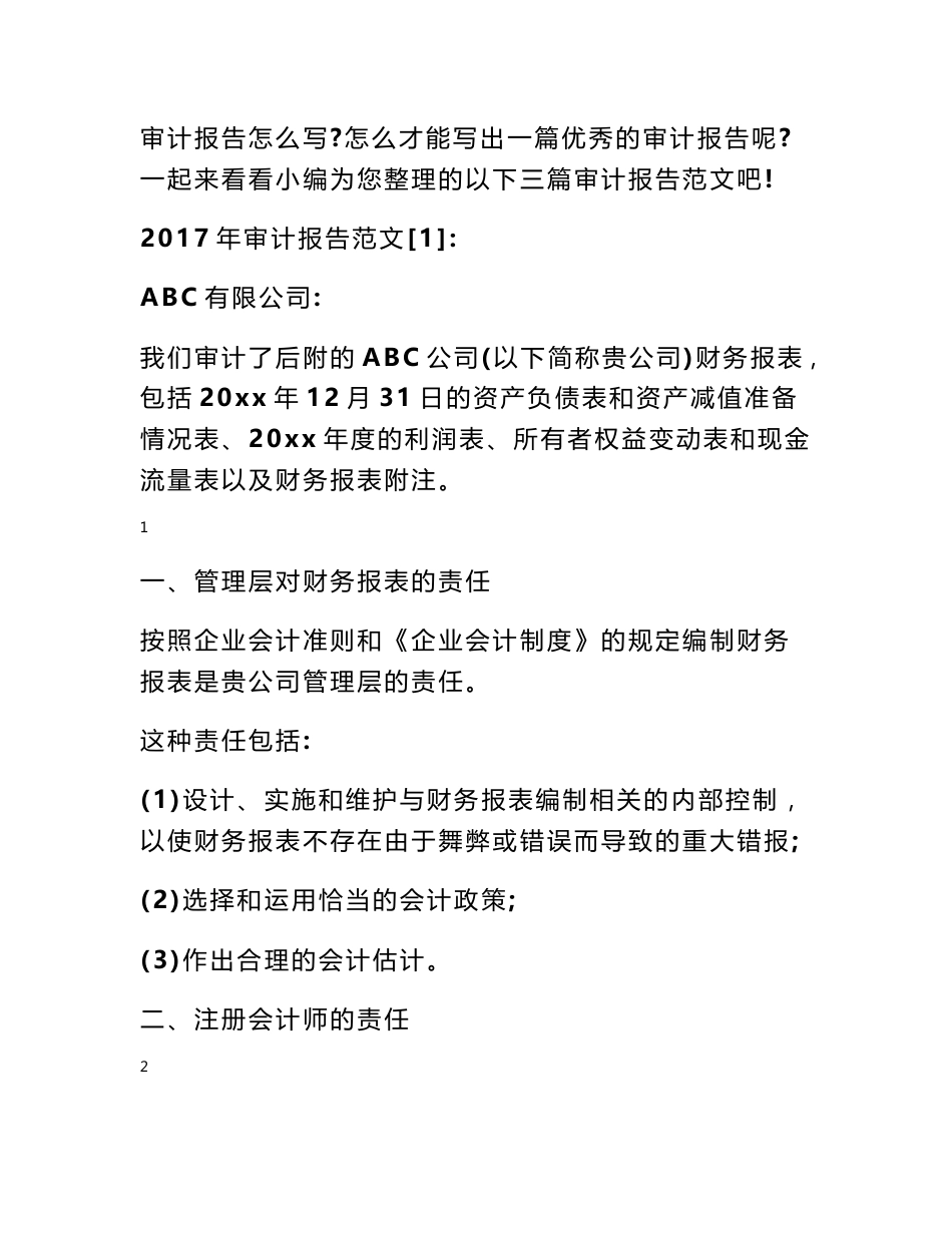 2017审计报告范文_第1页