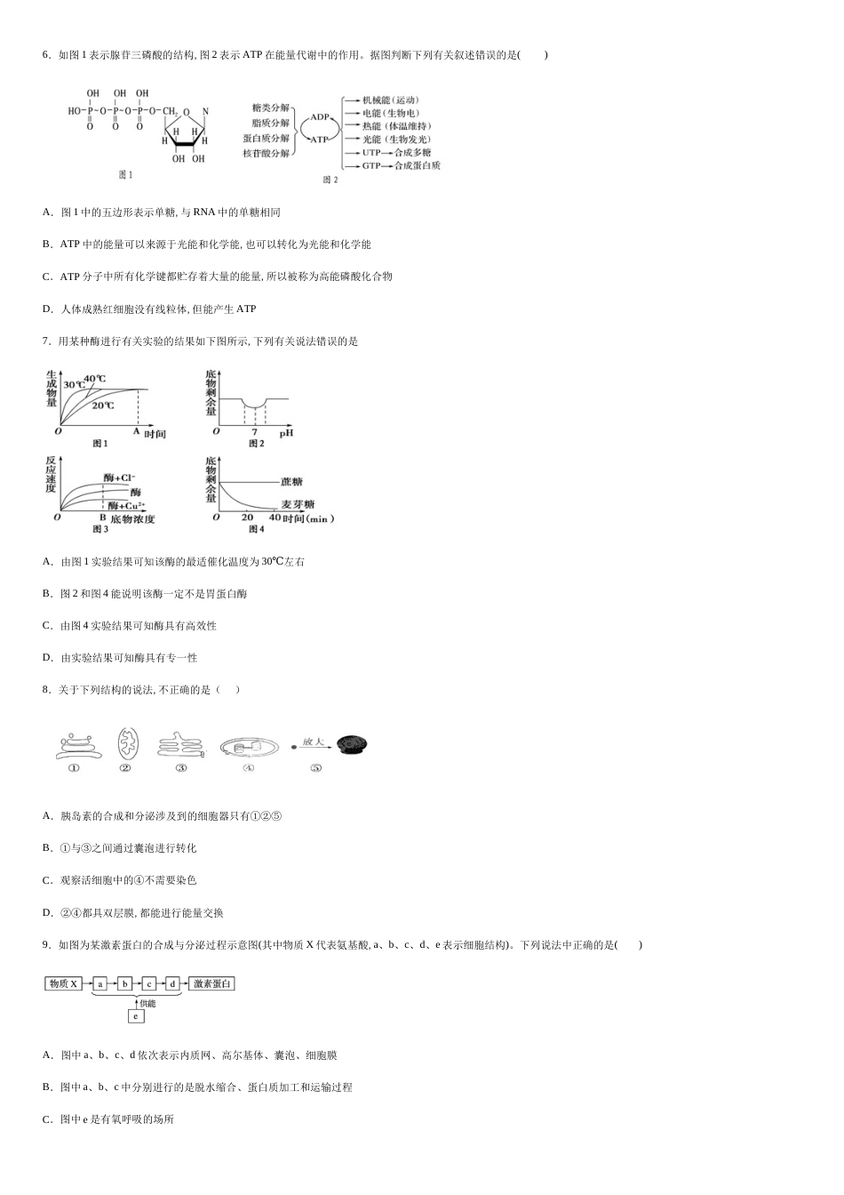 江西省南昌市南昌县莲塘二中2019-2020学年高一上学期期末生物试题-cbbe32ff727e47398ba267c515d836c4_第2页