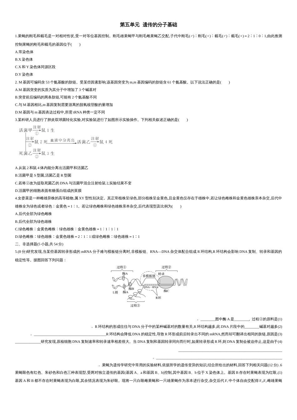 第五单元 遗传的分子基础【过关测试】-2021年高考一轮生物单元复习一遍过（原卷版）_第1页