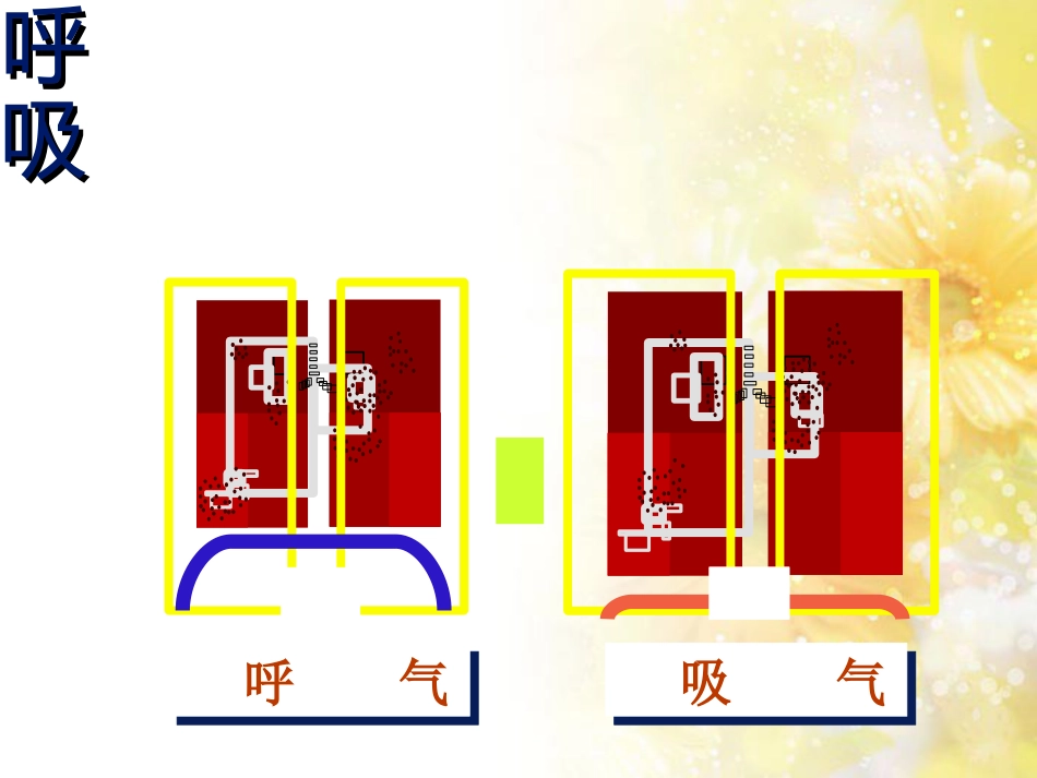 呼吸力学与呼吸机波形及其临床意义[共153页]_第3页