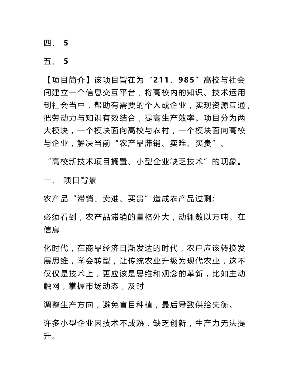 互联网加项目计划书_第2页