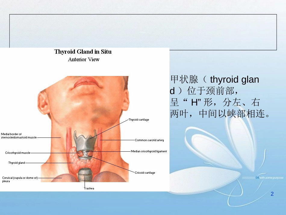 甲状腺病变的影像学表现[共58页]_第2页