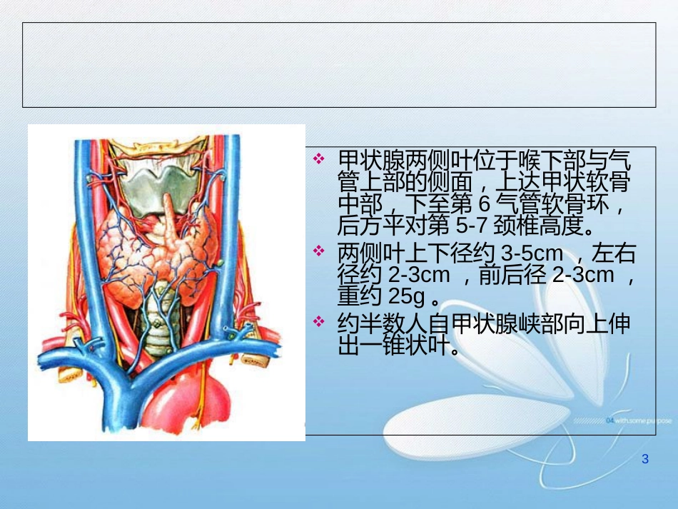 甲状腺病变的影像学表现[共58页]_第3页