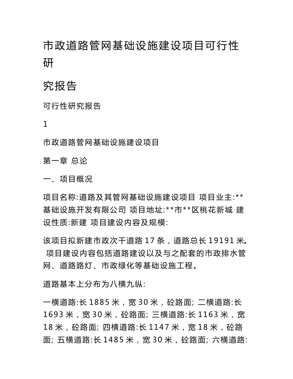 市政道路管网基础设施建设项目可行性研究报告_第1页