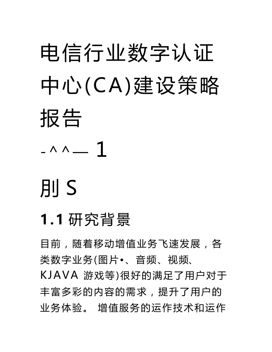 电信行业数字认证中心（CA）建设策略报告_第1页