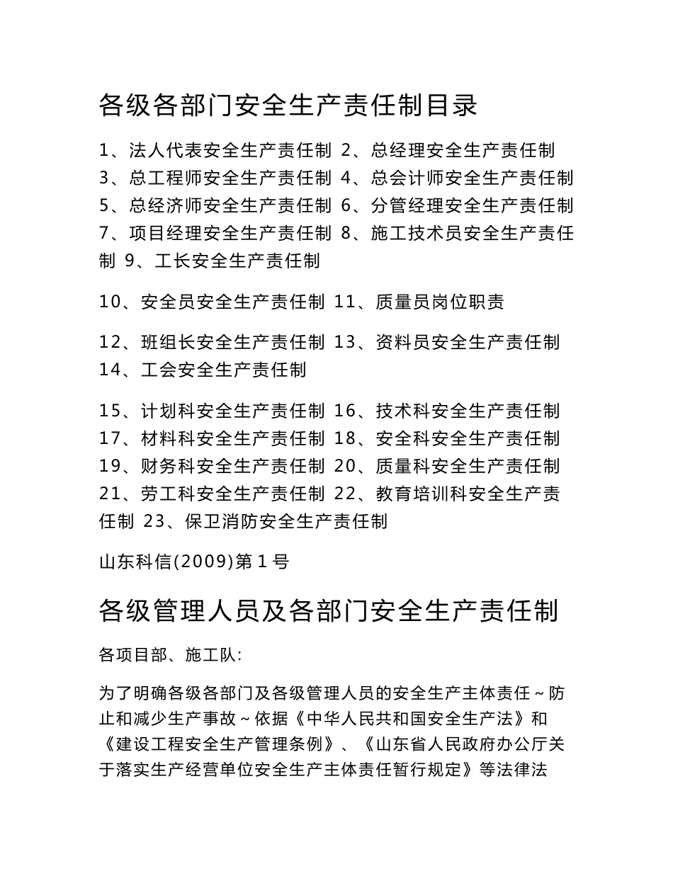 各级安全生产责任制、安全生产规章制度、操作规程_第1页