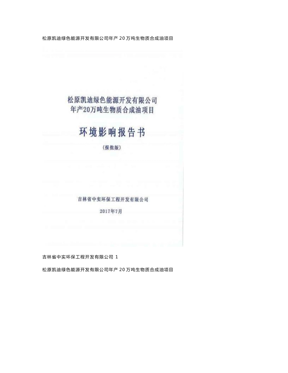 (13doc)吉林省松原市松原凯迪绿色能源开发有限公司年产20万吨生物质合成油项目_128482__第1页