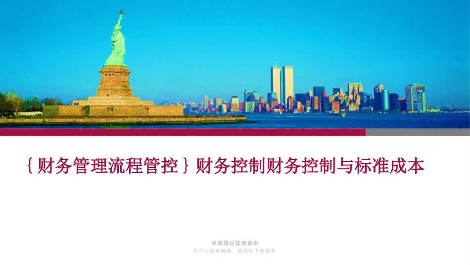 财务控制财务控制与标准成本_第1页