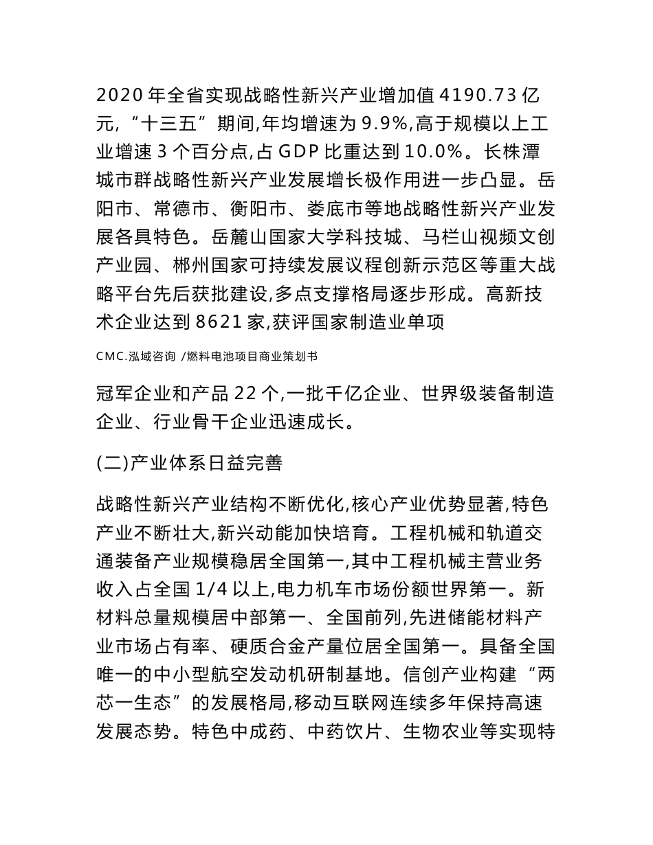 燃料电池项目商业策划书【模板范本】_第3页