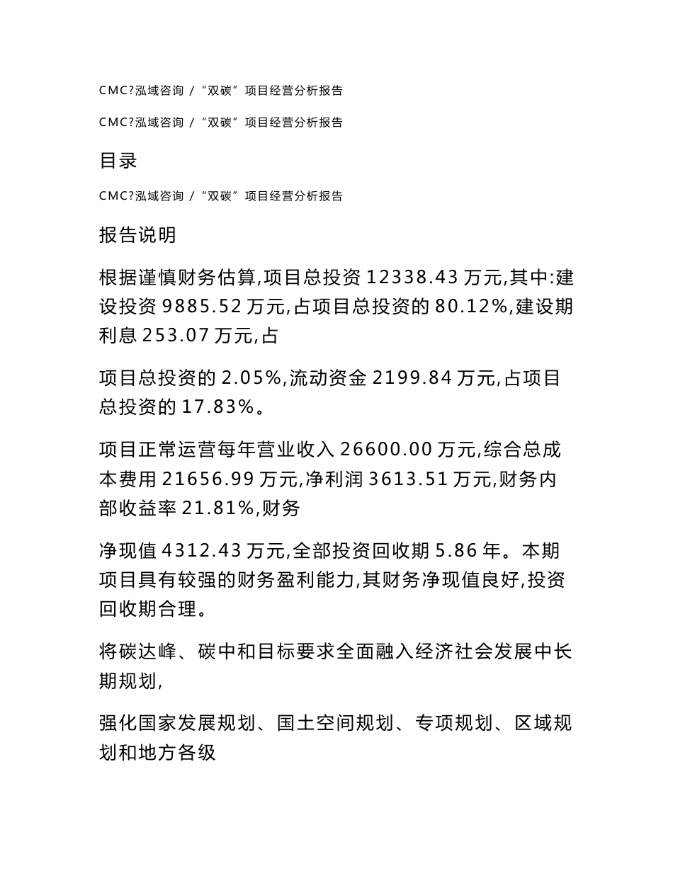 “双碳”项目经营分析报告-（模板范文）_第1页