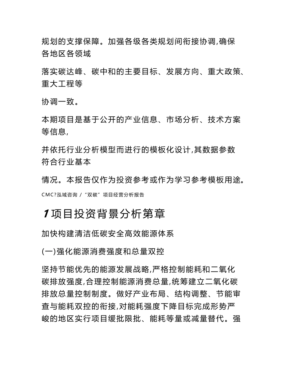 “双碳”项目经营分析报告-（模板范文）_第2页