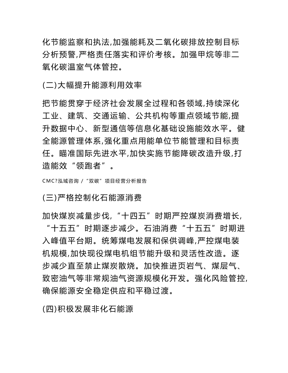 “双碳”项目经营分析报告-（模板范文）_第3页
