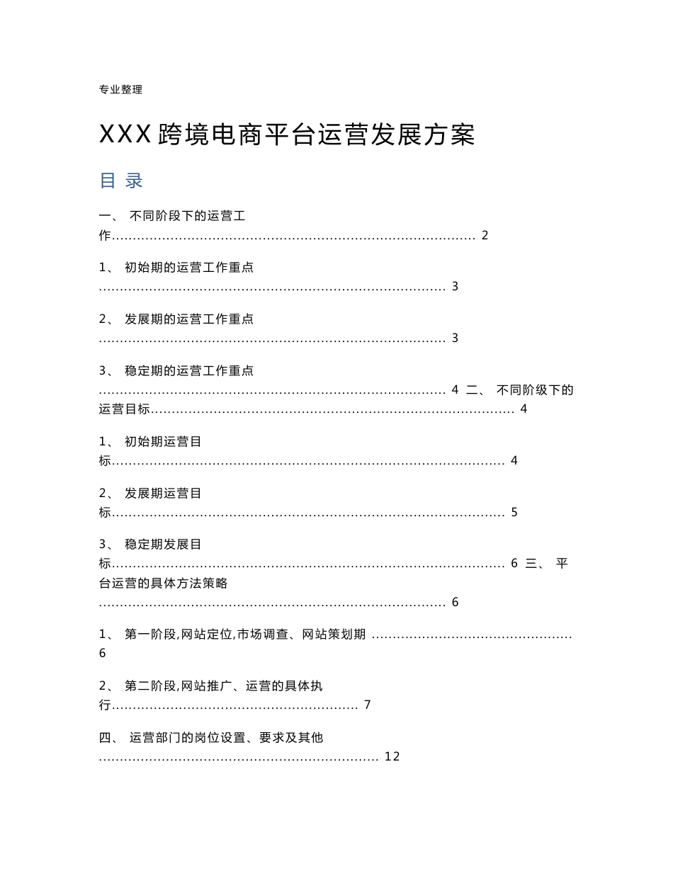 某跨境电商平台运营发展方案说明_第1页