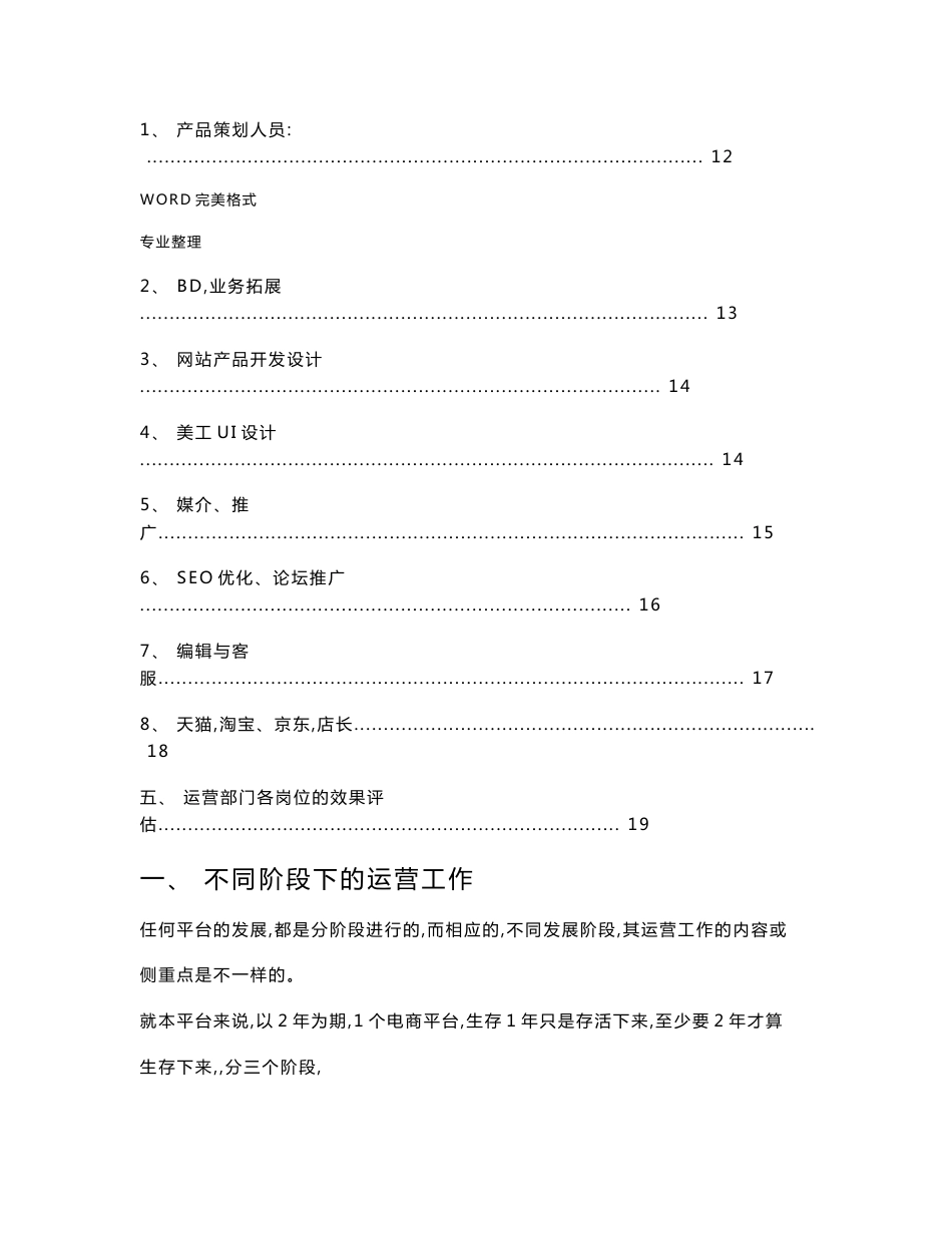 某跨境电商平台运营发展方案说明_第2页