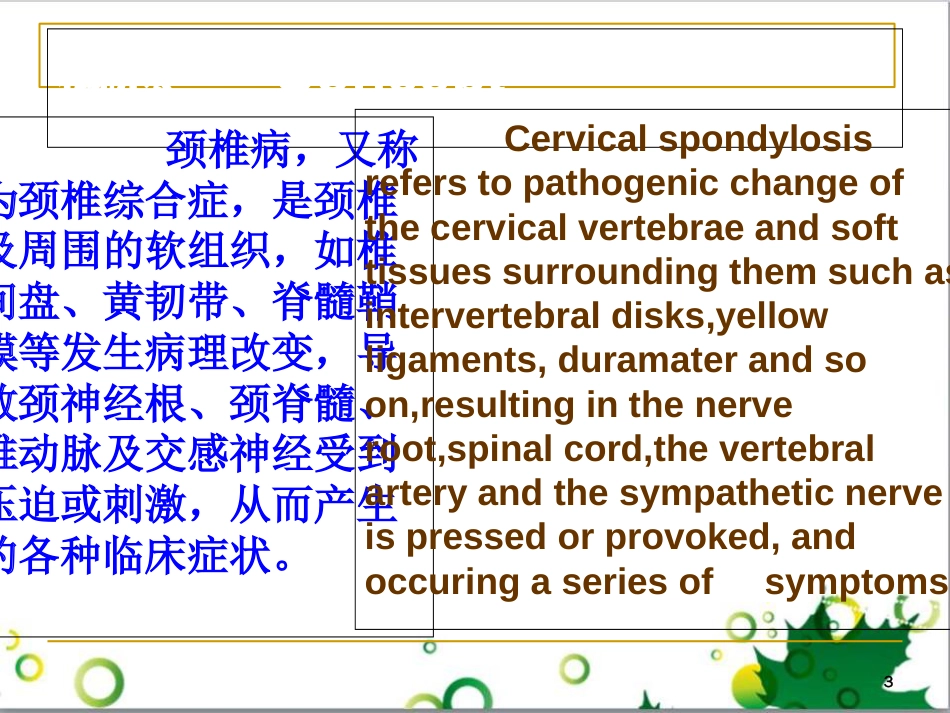 颈椎病中英文对照医学PPT课件_第3页