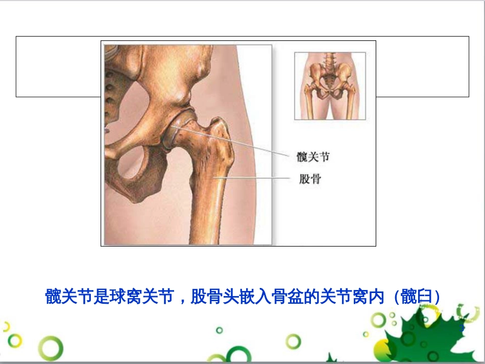 髋关节置换术后康复训练[共40页]_第3页