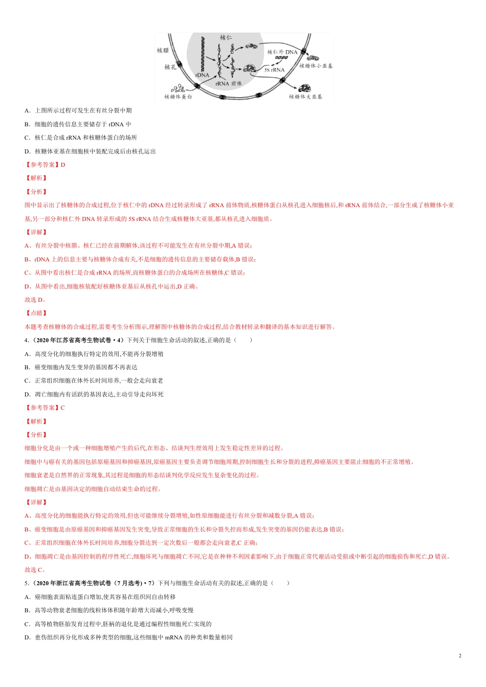 第四单元 细胞的生命历程【真题训练】-2021年高考一轮生物单元复习一遍过（解析版）_第2页
