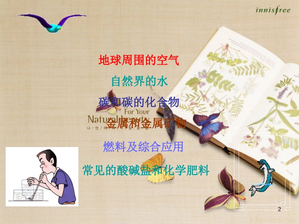 九年级化学专题复习 身边的化学物质[共79页]_第2页