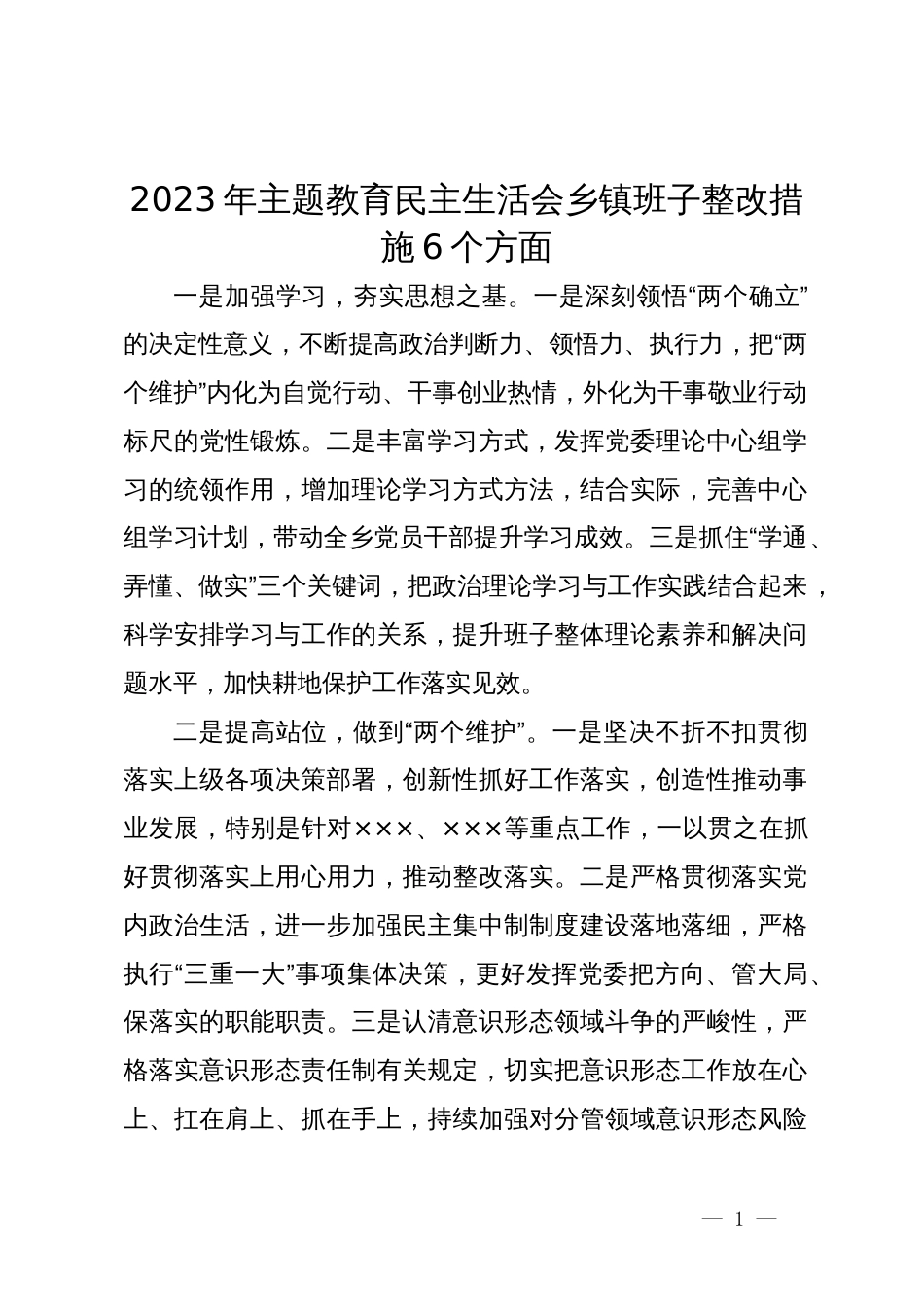 2023年主题教育民主生活会乡镇班子整改措施6个方面_第1页