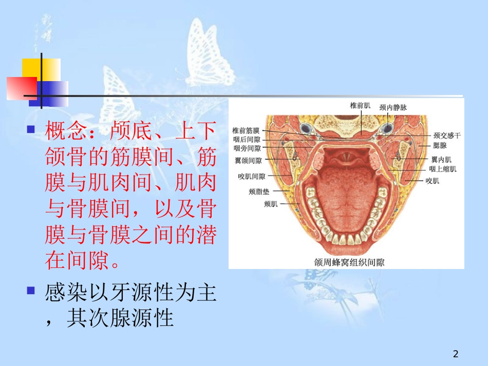 口腔颌面蜂窝组织间隙[共16页]_第2页