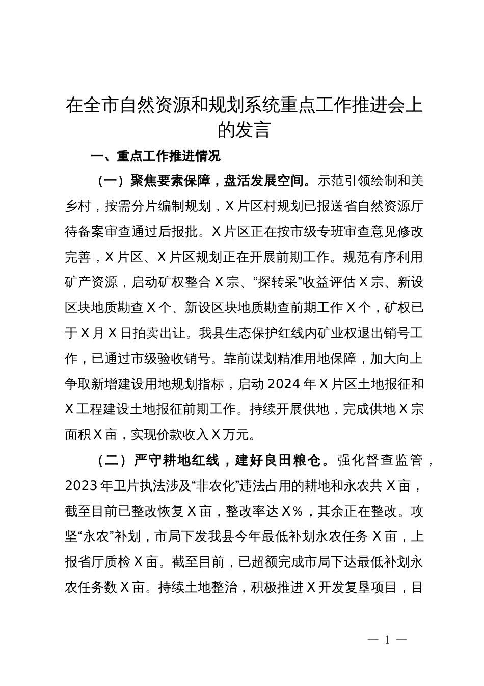 在全市自然资源和规划系统重点工作推进会上的发言_第1页