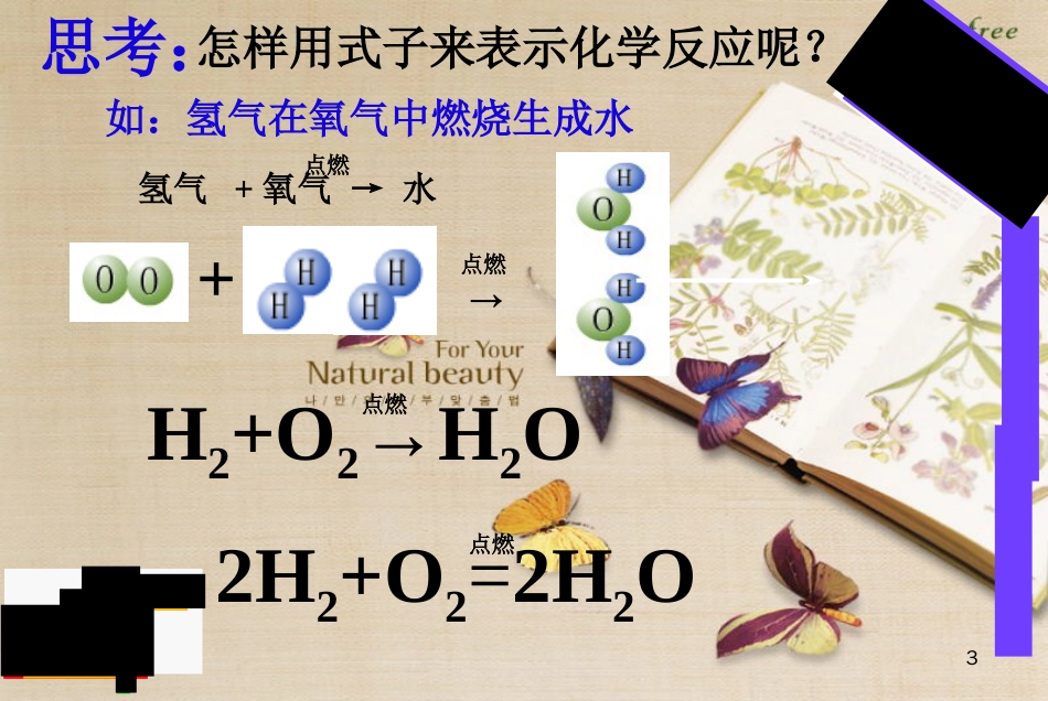 九年级化学《化学方程式》PPT课件[共34页]_第3页