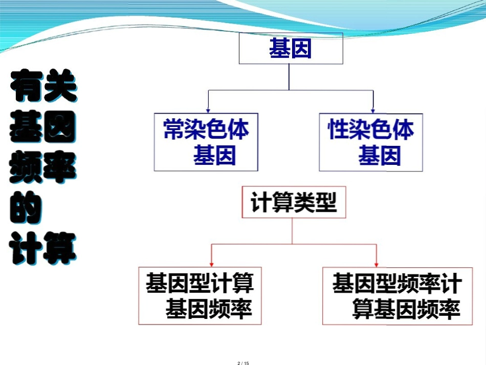 基因频率及基因型频率的计算(课件)_第2页