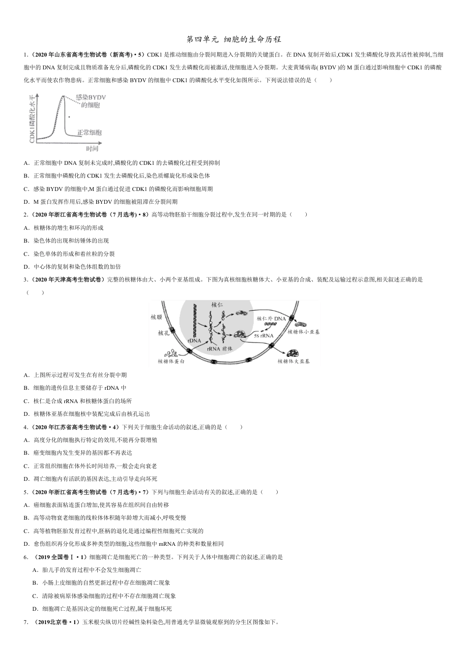 第四单元 细胞的生命历程【真题训练】-2021年高考一轮生物单元复习一遍过（原卷版）附答案_第1页