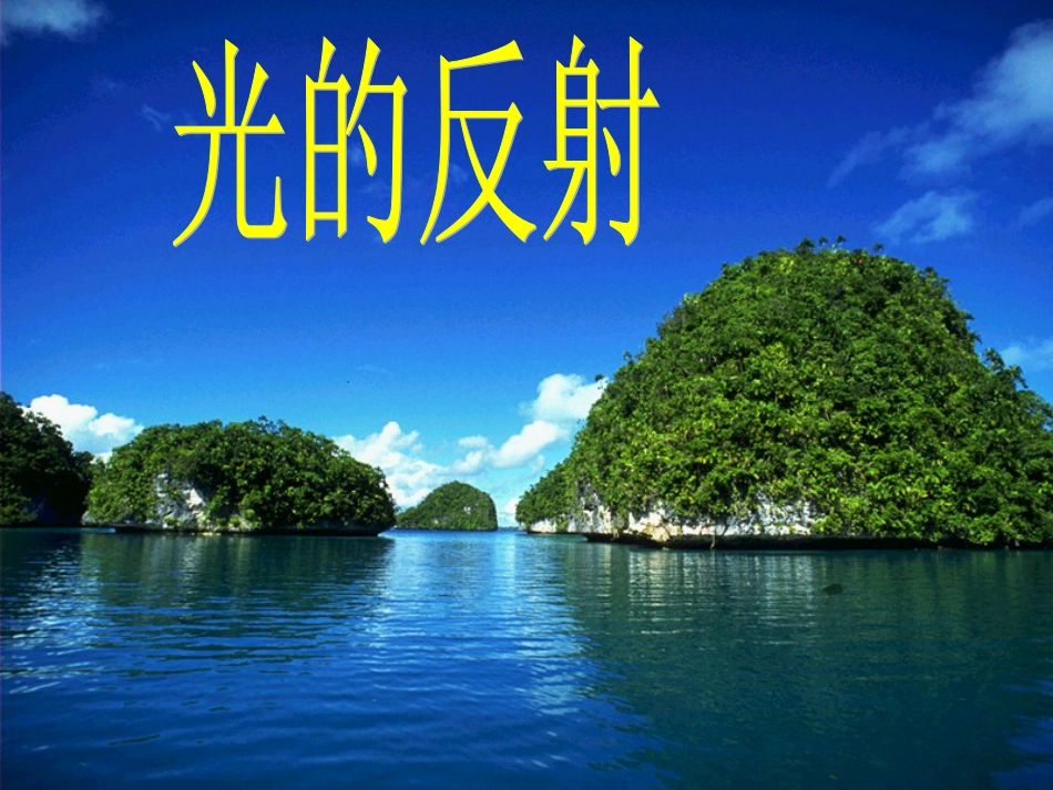 光的反射》ppt课件[共53页]_第1页