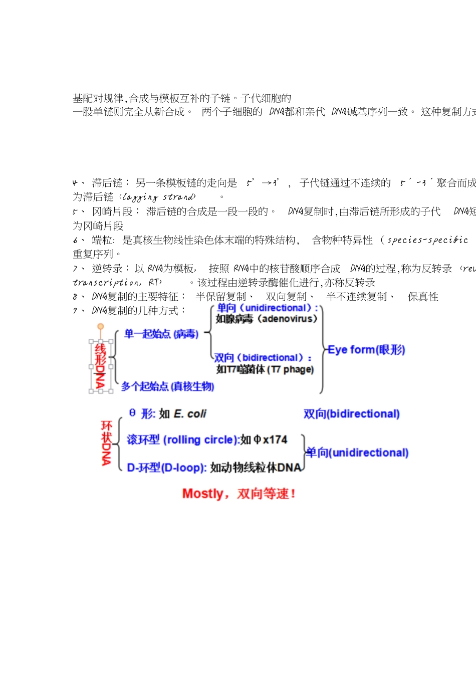 分子生物学总结完整版[共10页]_第2页