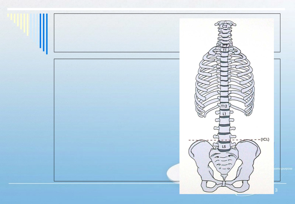 脊柱侧弯基础知识[共52页]_第3页