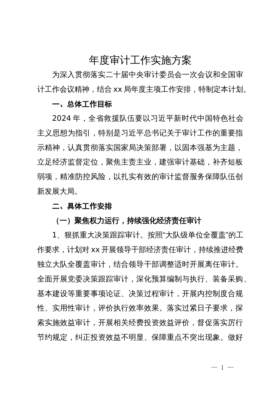 年度审计工作实施方案_第1页