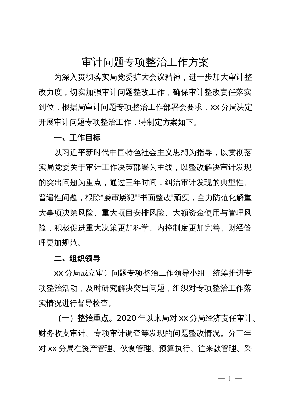 审计问题专项整治工作方案_第1页