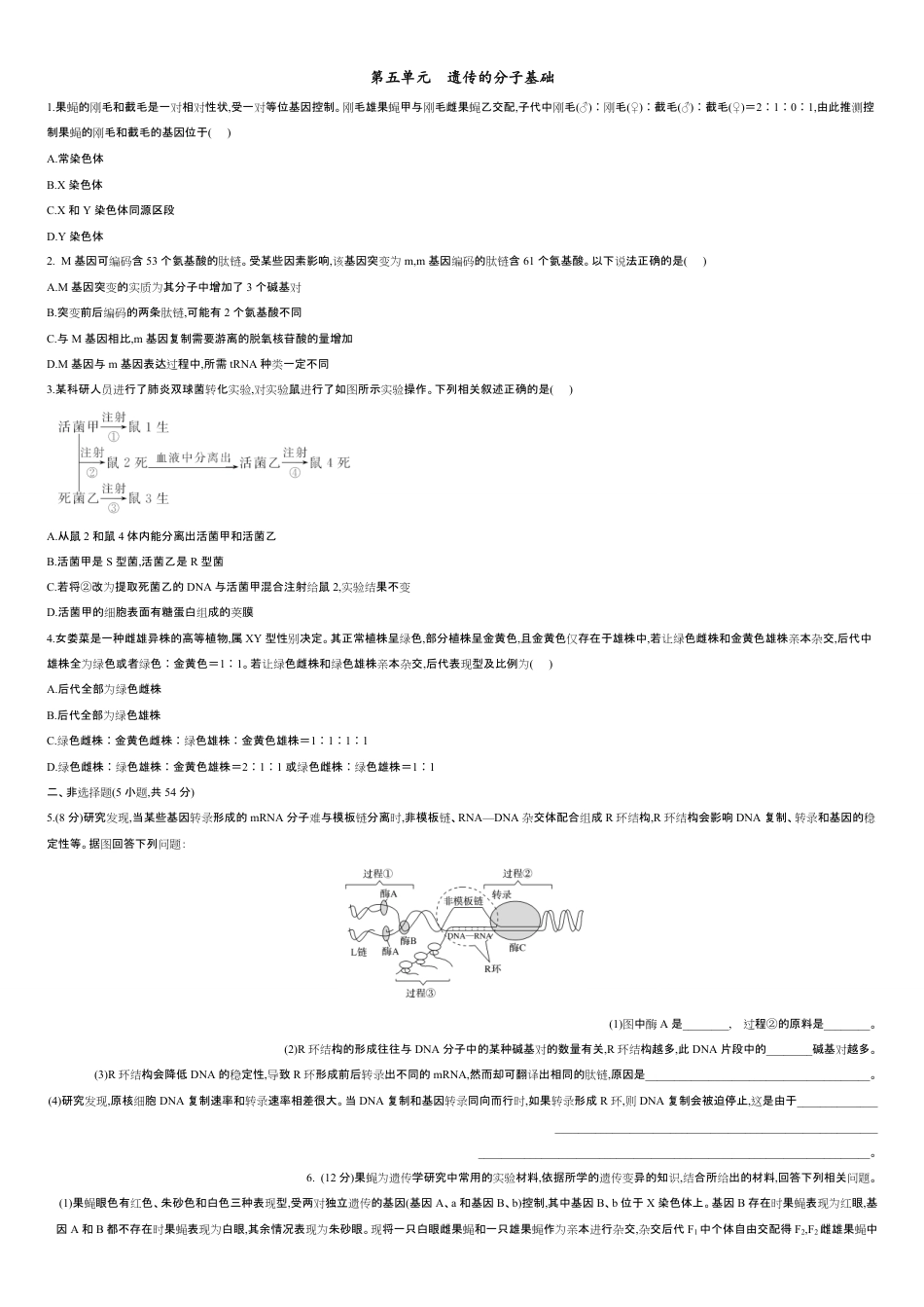 第五单元 遗传的分子基础【过关测试】-2021年高考一轮生物单元复习一遍过（原卷版）附答案_第1页