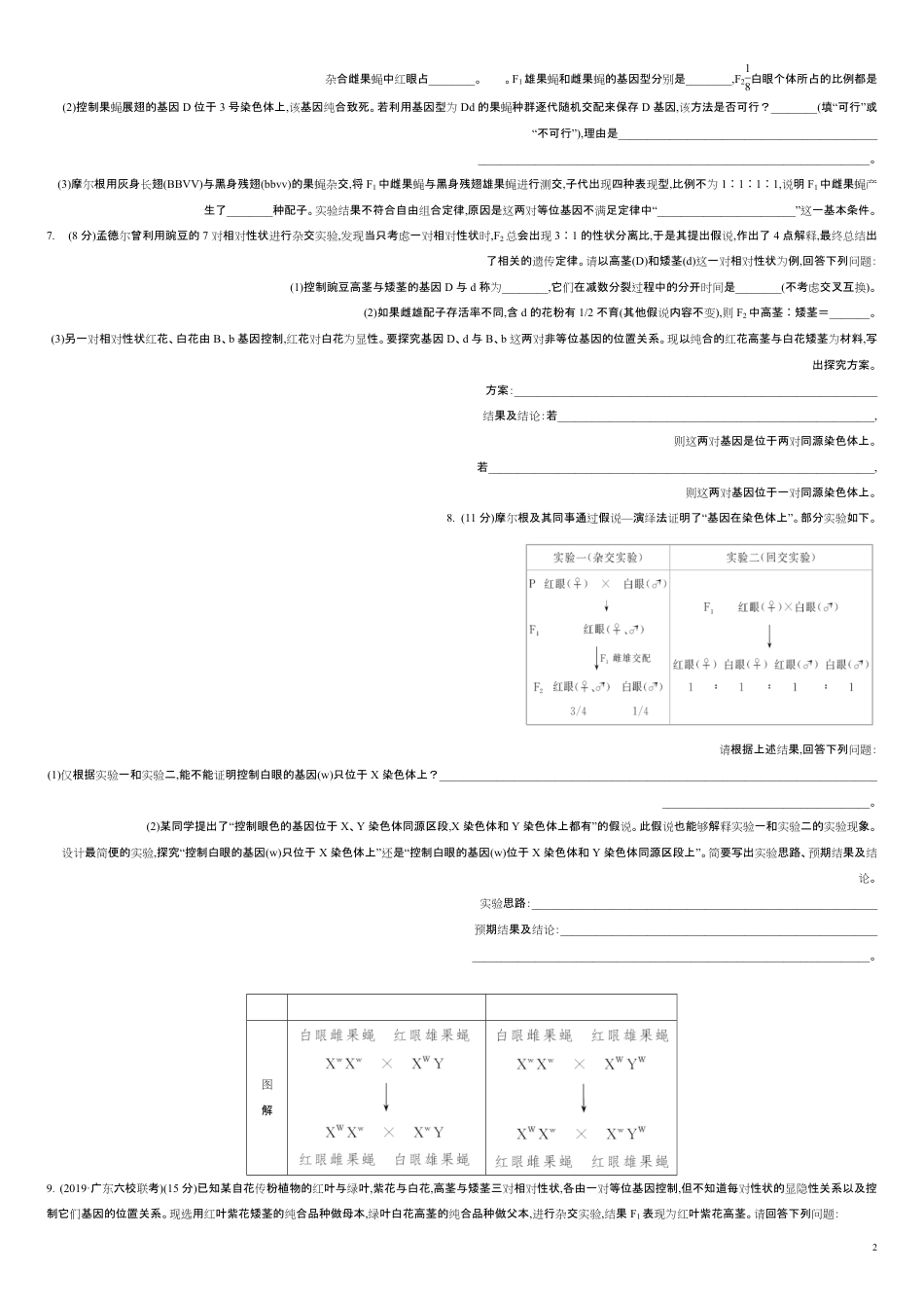 第五单元 遗传的分子基础【过关测试】-2021年高考一轮生物单元复习一遍过（原卷版）附答案_第2页