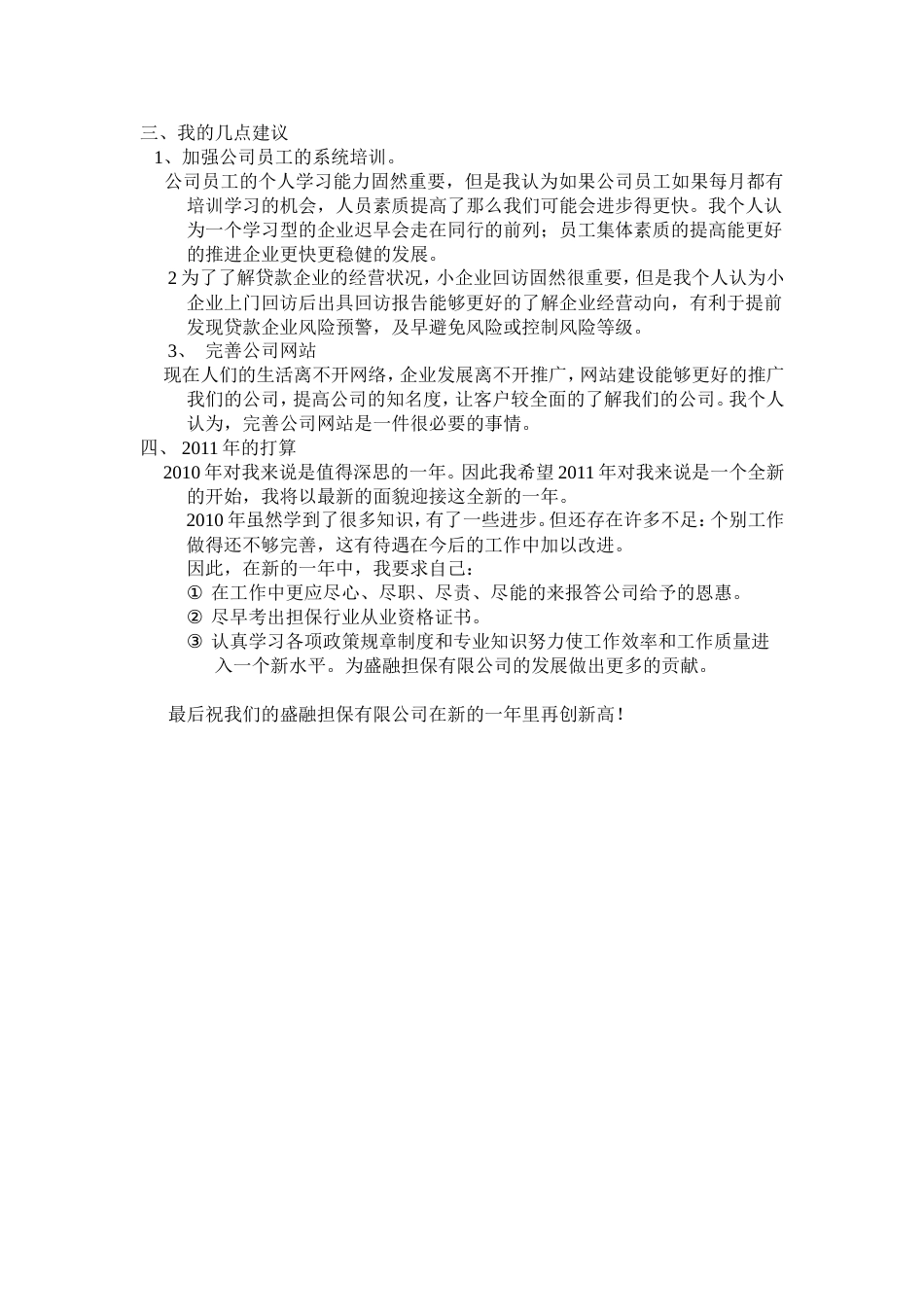 担保公司年终工作总结 行业总结汇总报告_第2页